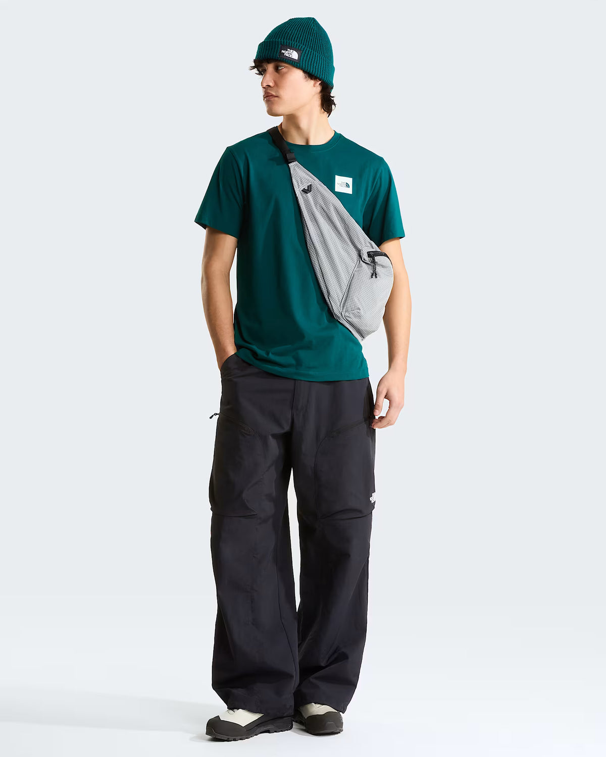 THE NORTH FACE T-shirt evolution box half dome