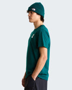 THE NORTH FACE T-shirt evolution box half dome