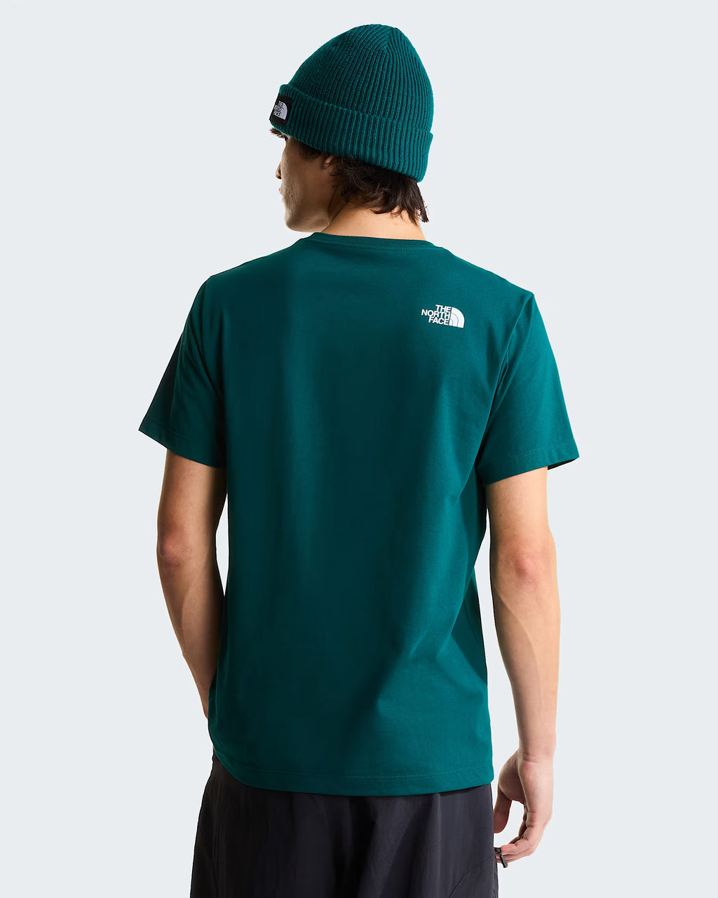 THE NORTH FACE T-shirt evolution box half dome
