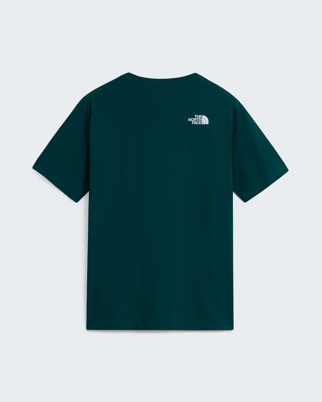 THE NORTH FACE T-shirt evolution box half dome