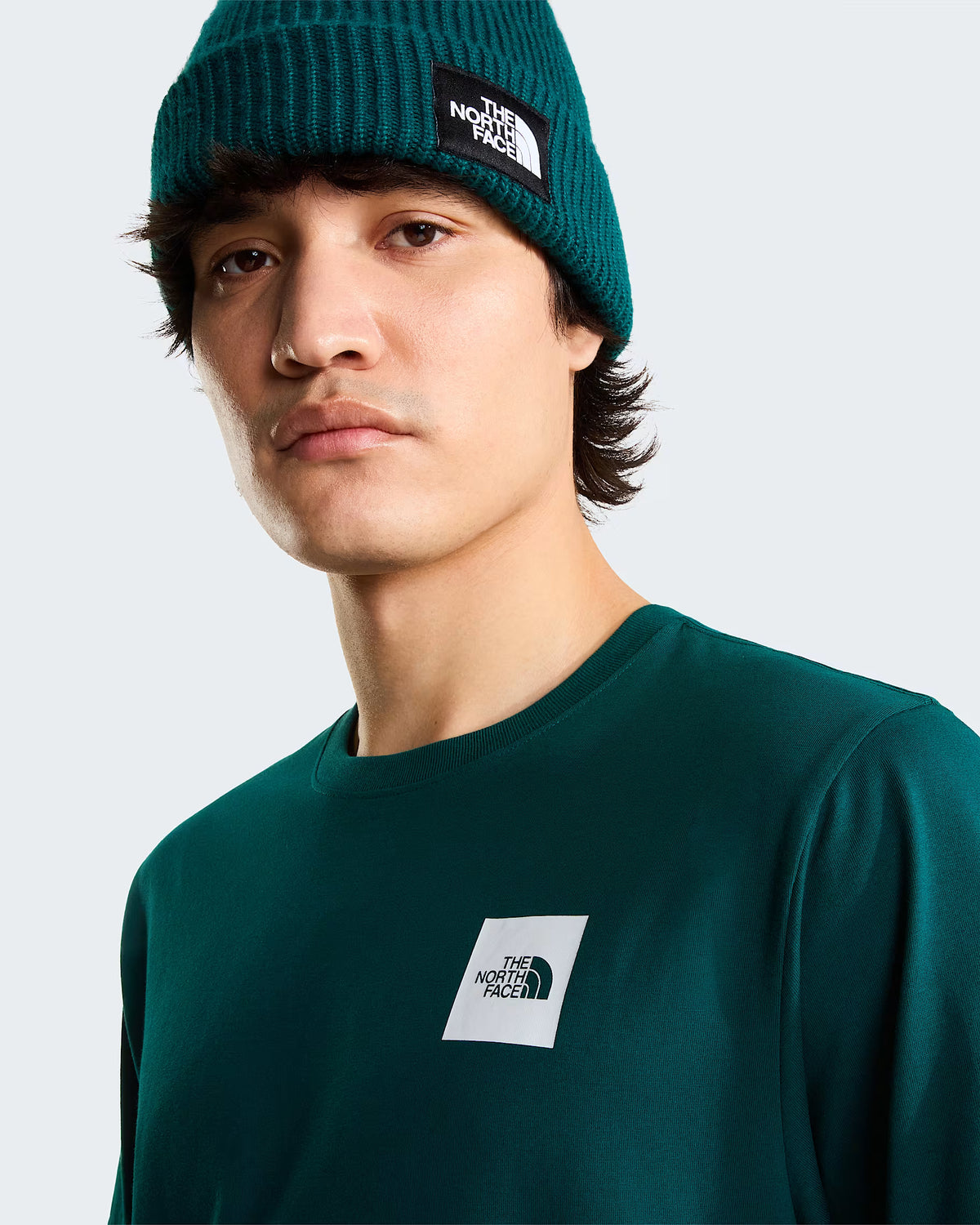 THE NORTH FACE T-shirt evolution box half dome