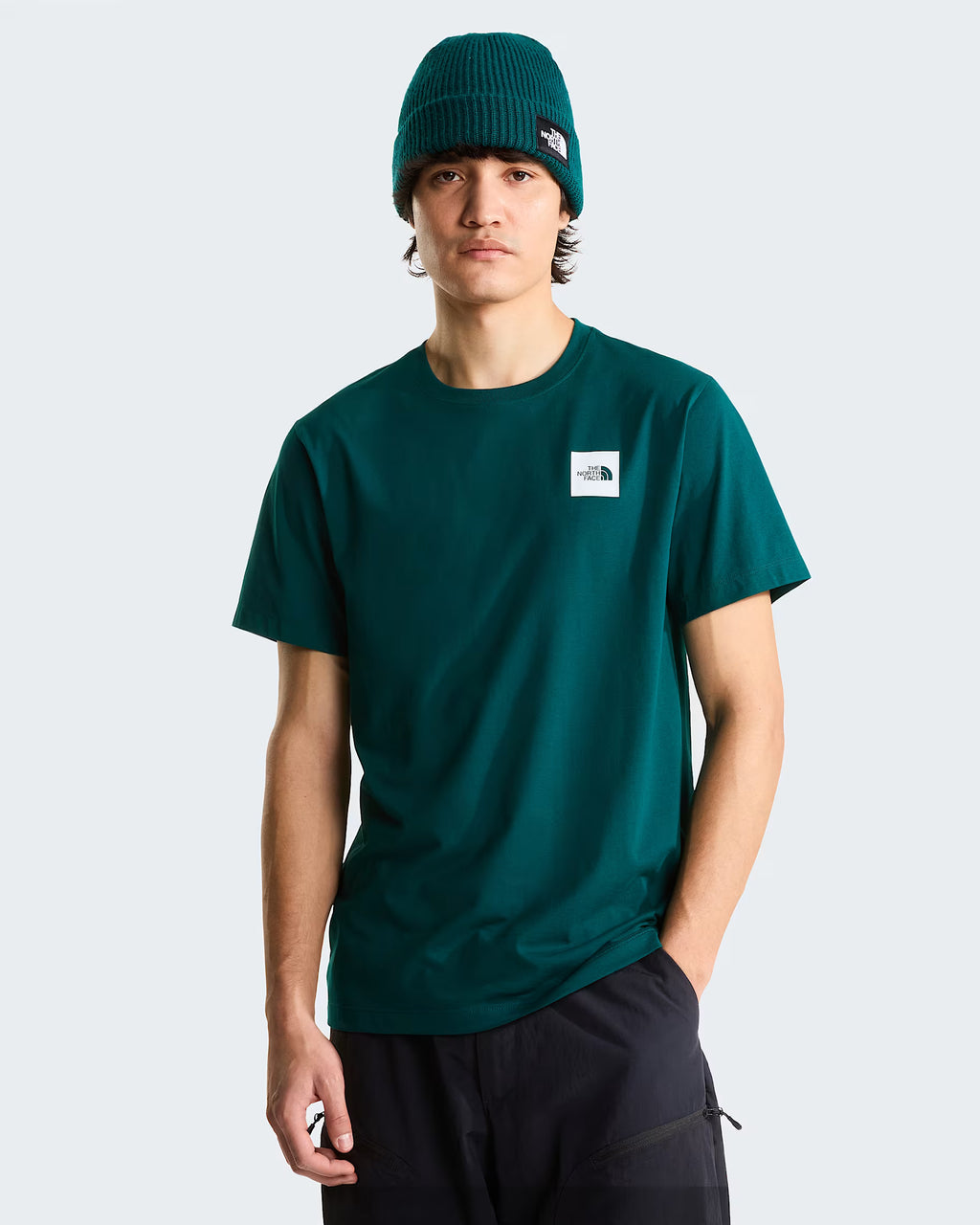 THE NORTH FACE T-shirt evolution box half dome