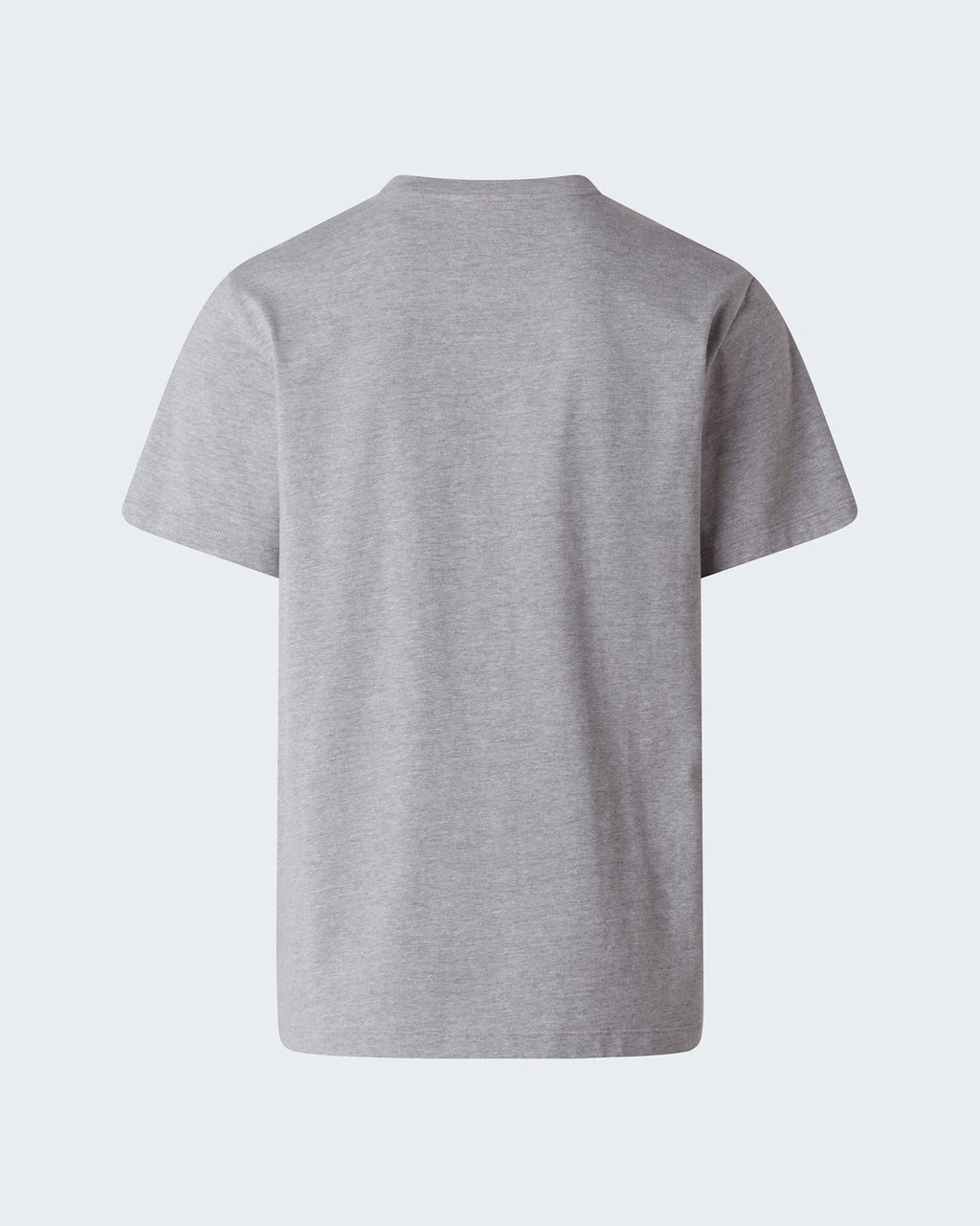 THE NORTH FACE T-shirt evolution simple dome