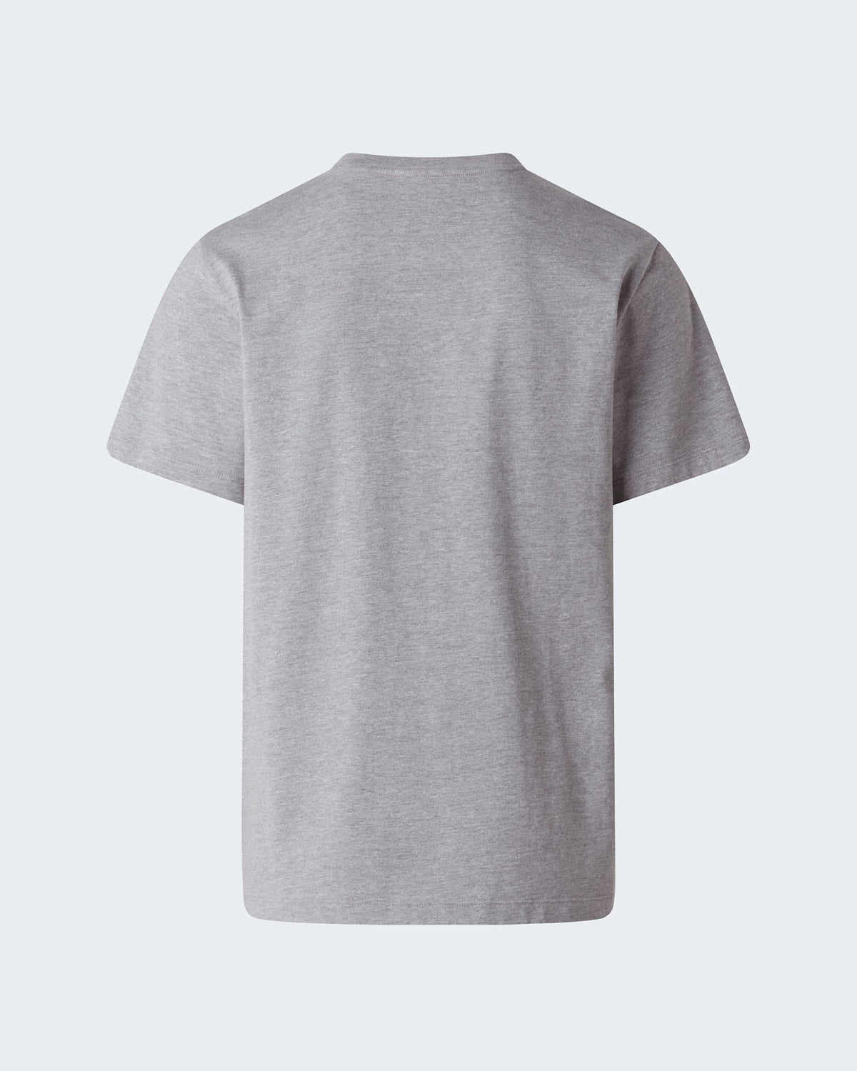 THE NORTH FACE T-shirt evolution simple dome
