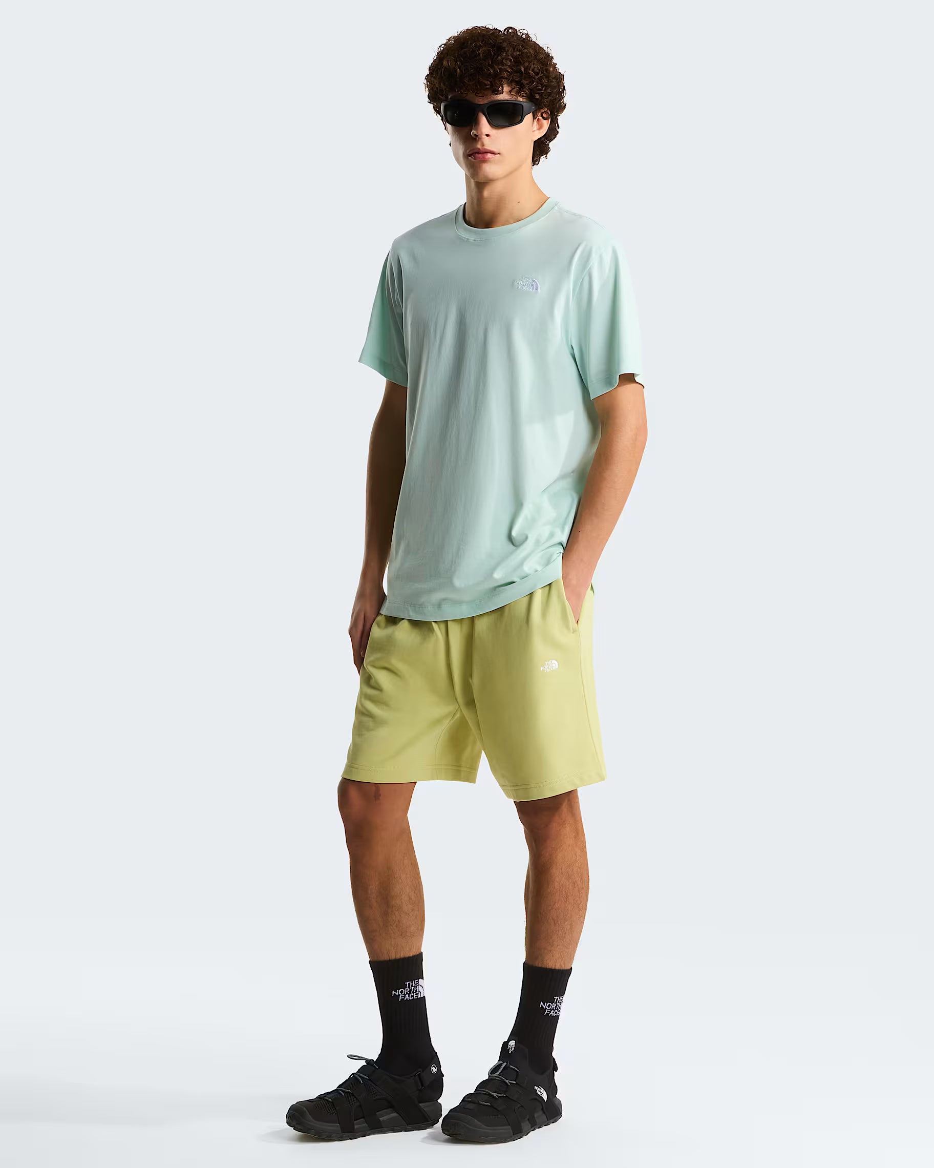 THE NORTH FACE T-shirt evolution simple dome