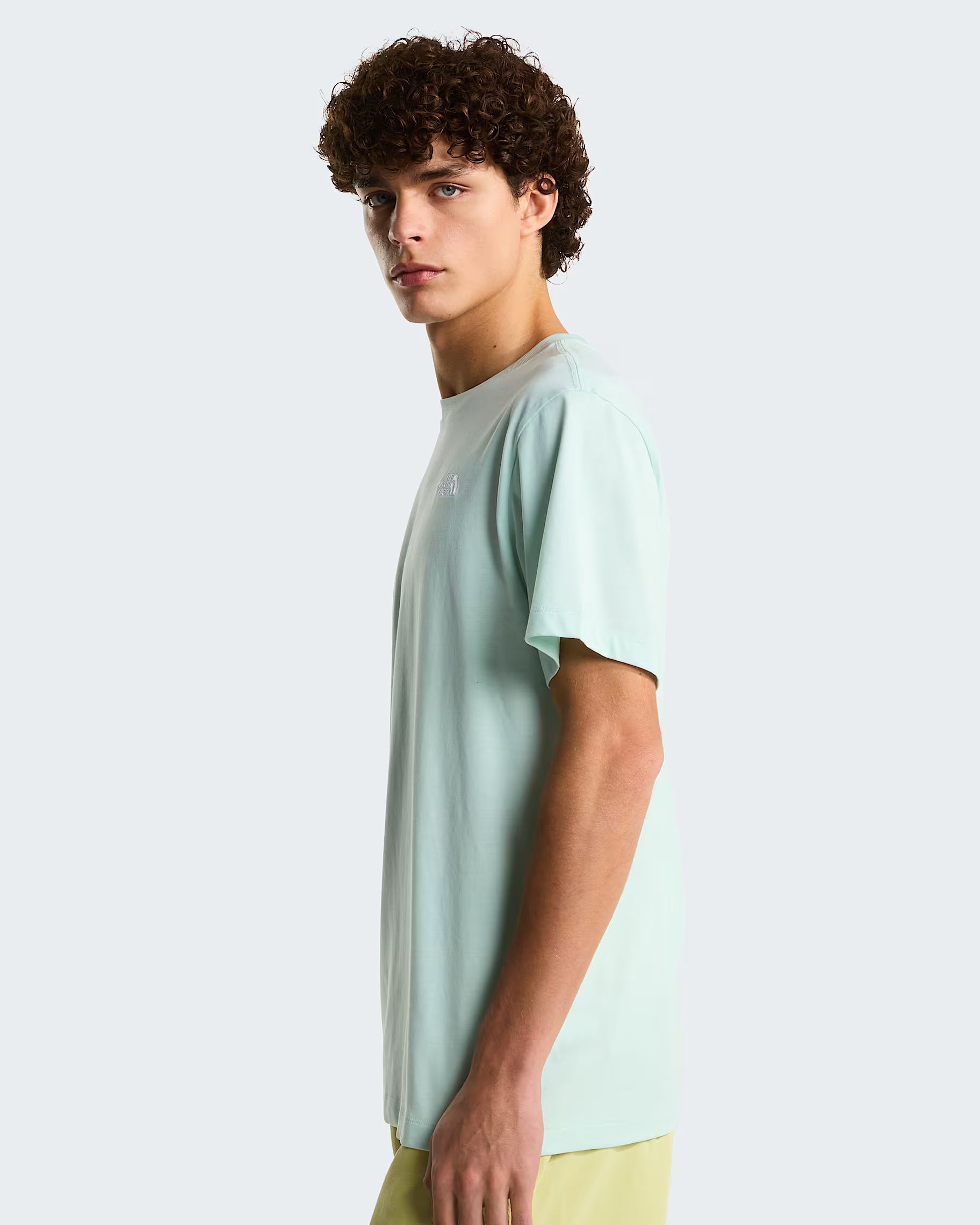 THE NORTH FACE T-shirt evolution simple dome
