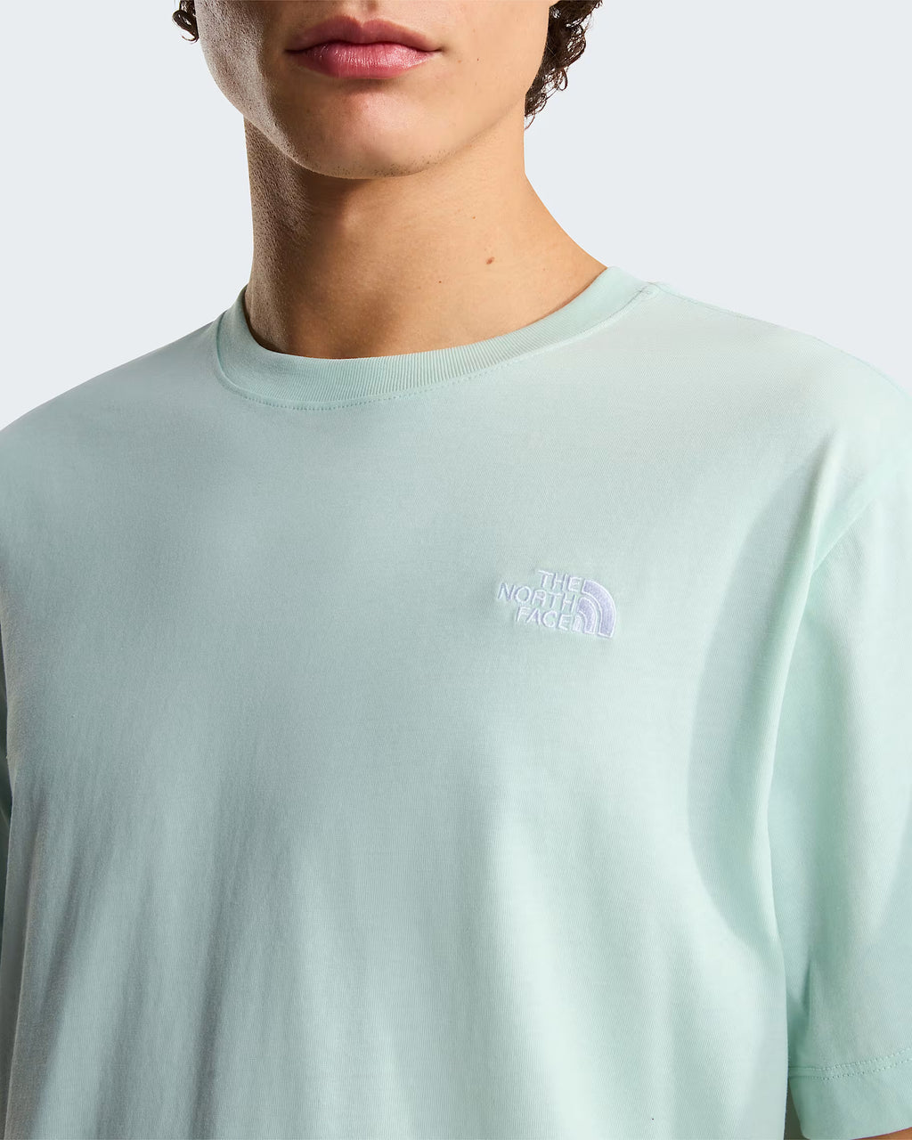 THE NORTH FACE T-shirt evolution simple dome