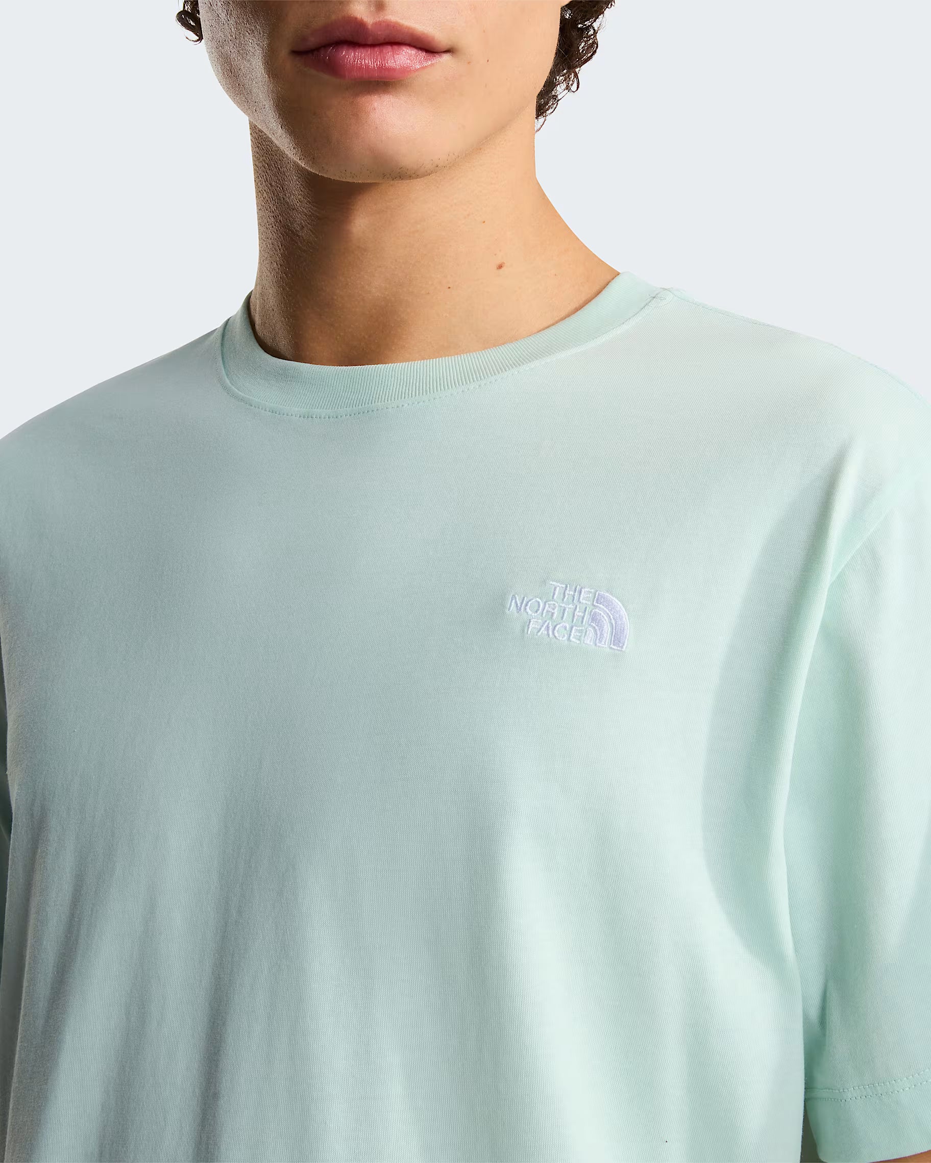 THE NORTH FACE T-shirt evolution simple dome