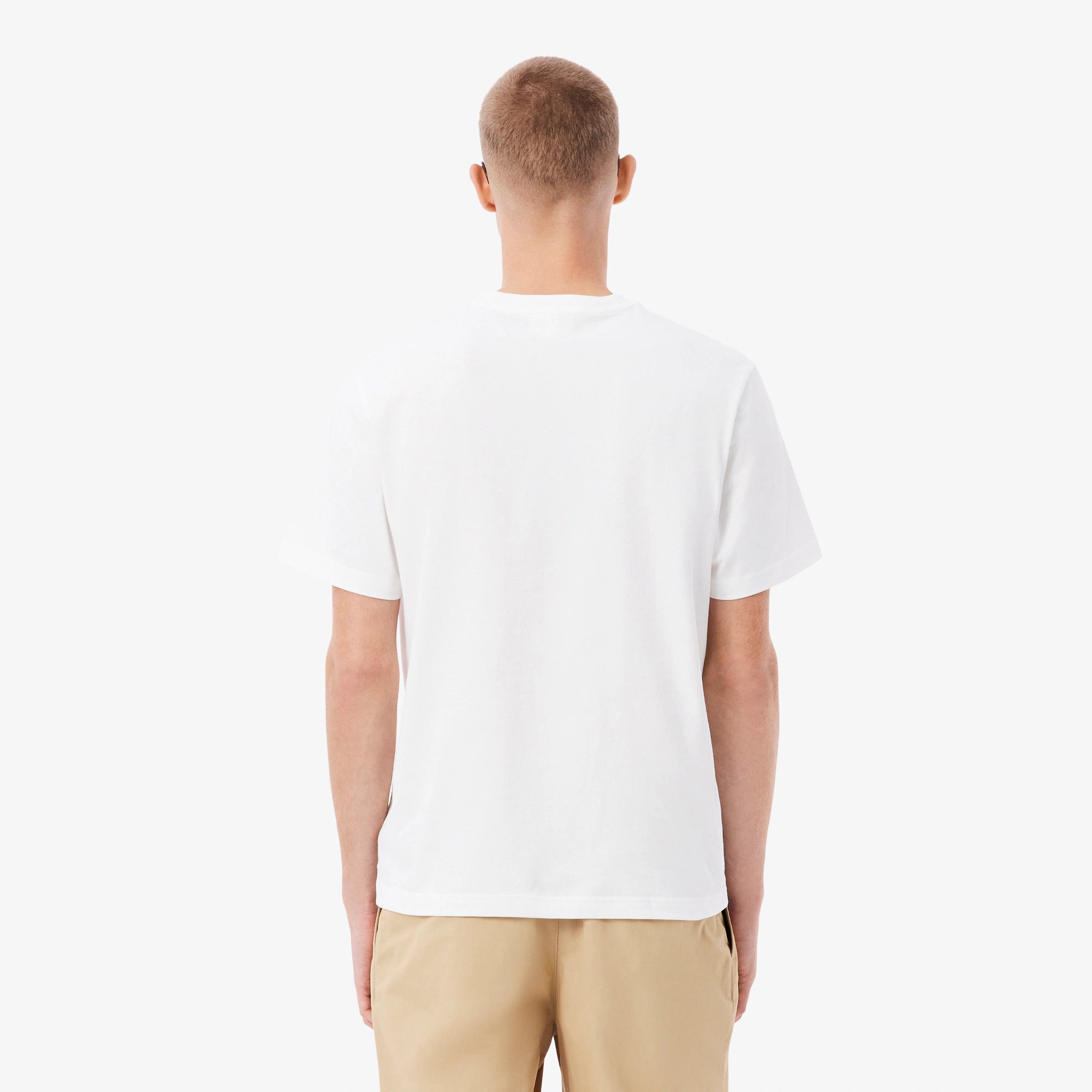 LACOSTE T-shirt de algodão