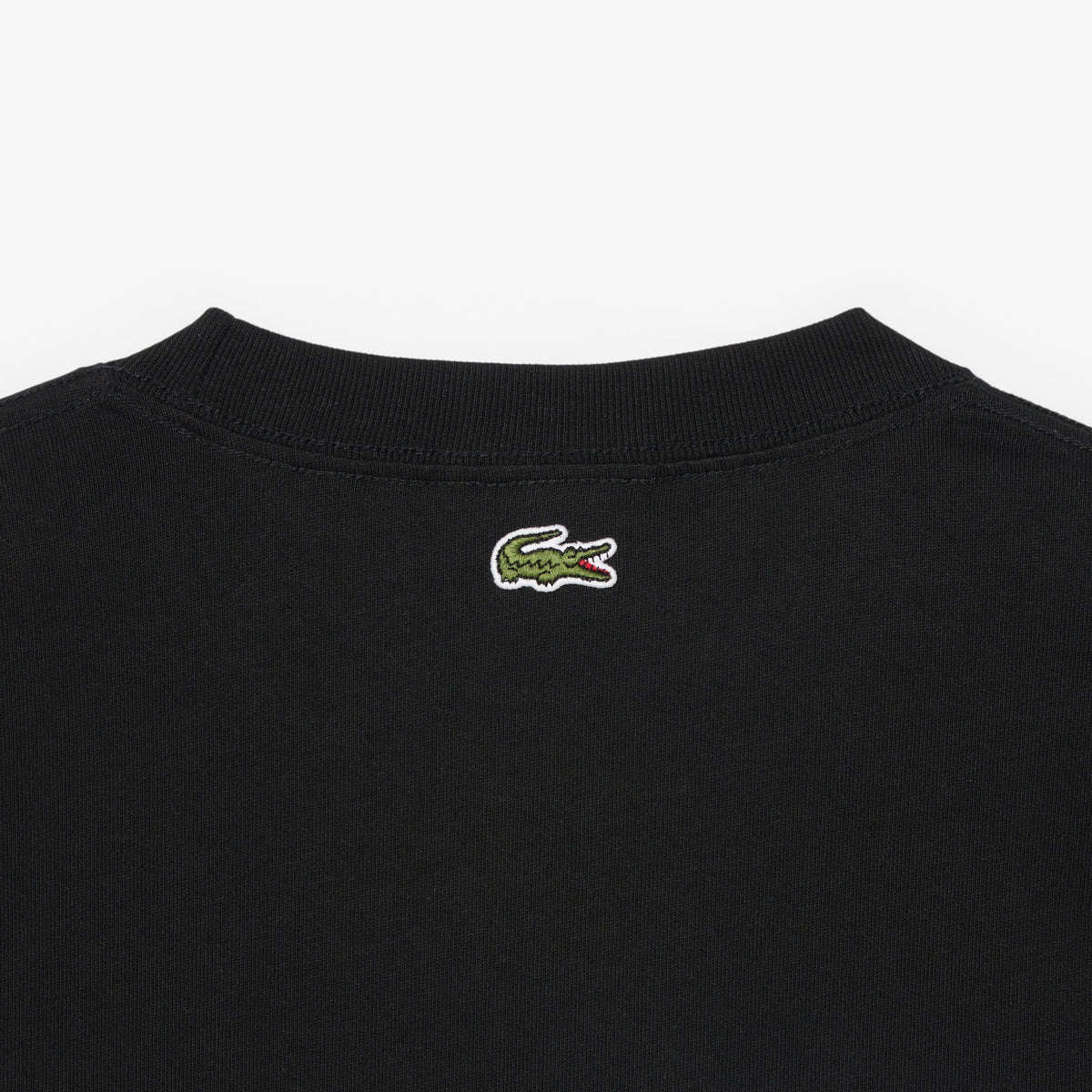 LACOSTE T-shirt de jersey de algodão grosso com bordado