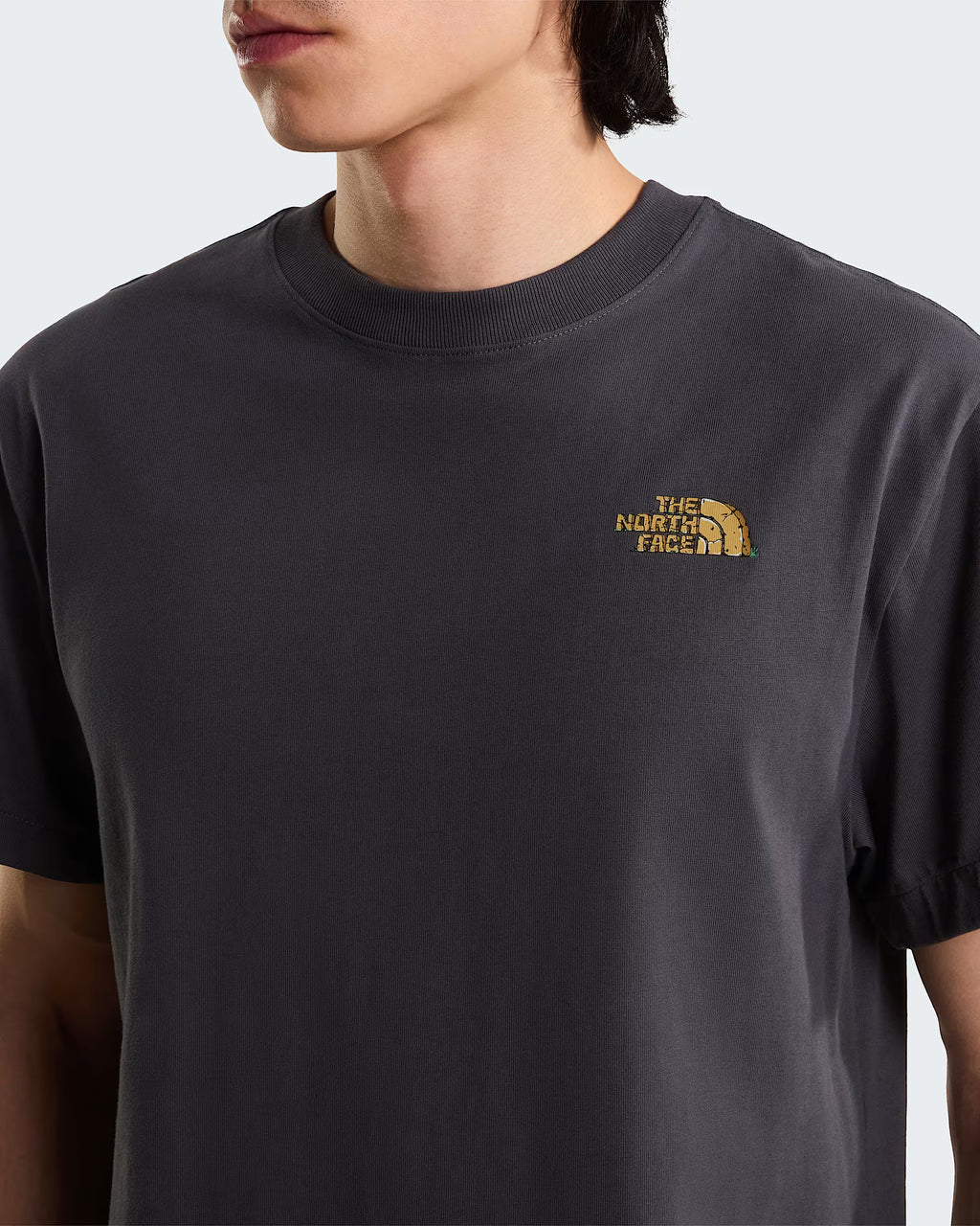 THE NORTH FACE T-shirt com gráfico stone logo