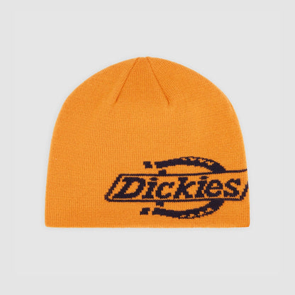 DICKIES Gorro com logotipo Summerdale - CARISMAstore