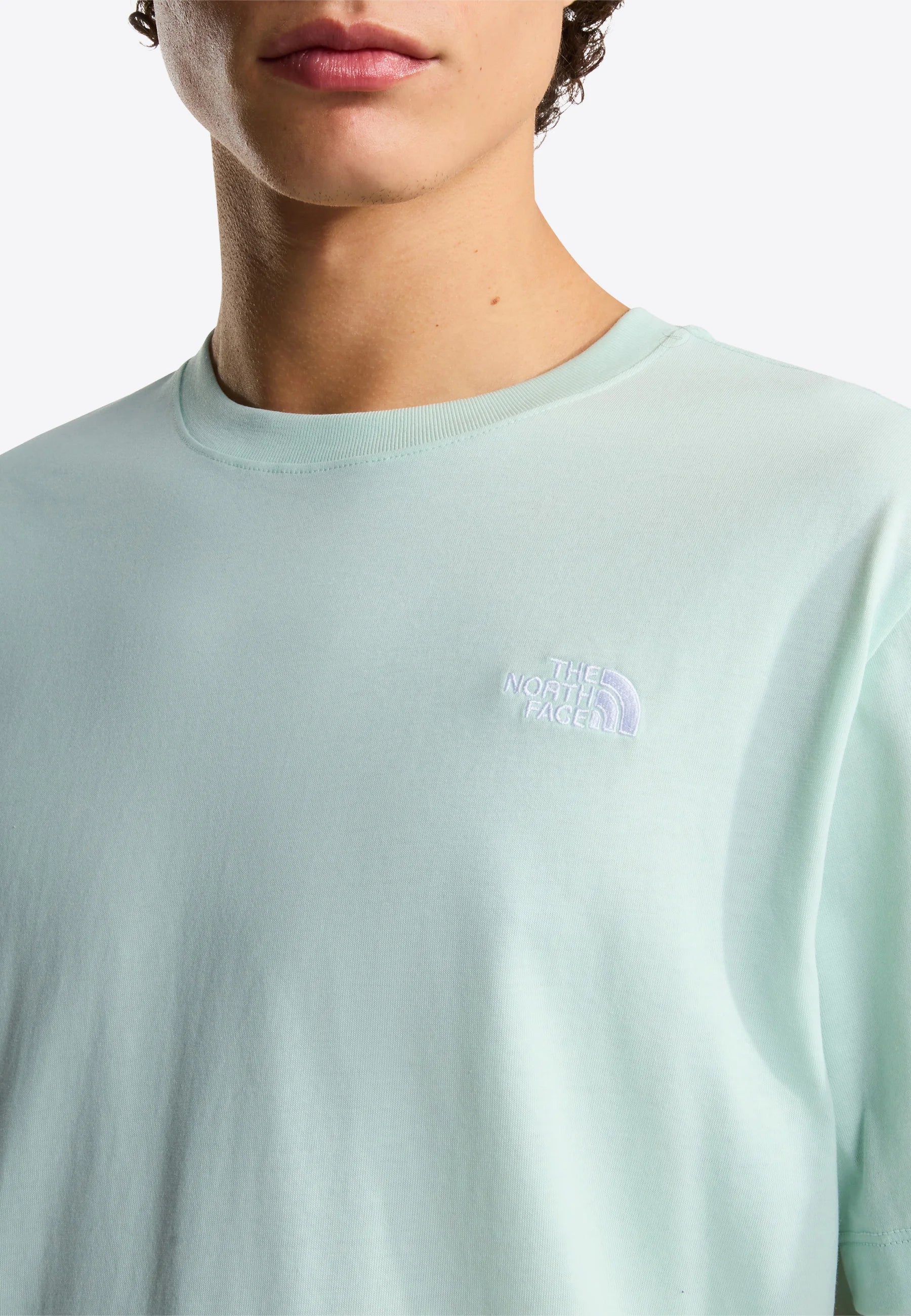 THE NORTH FACE T-shirt evolution simple dome