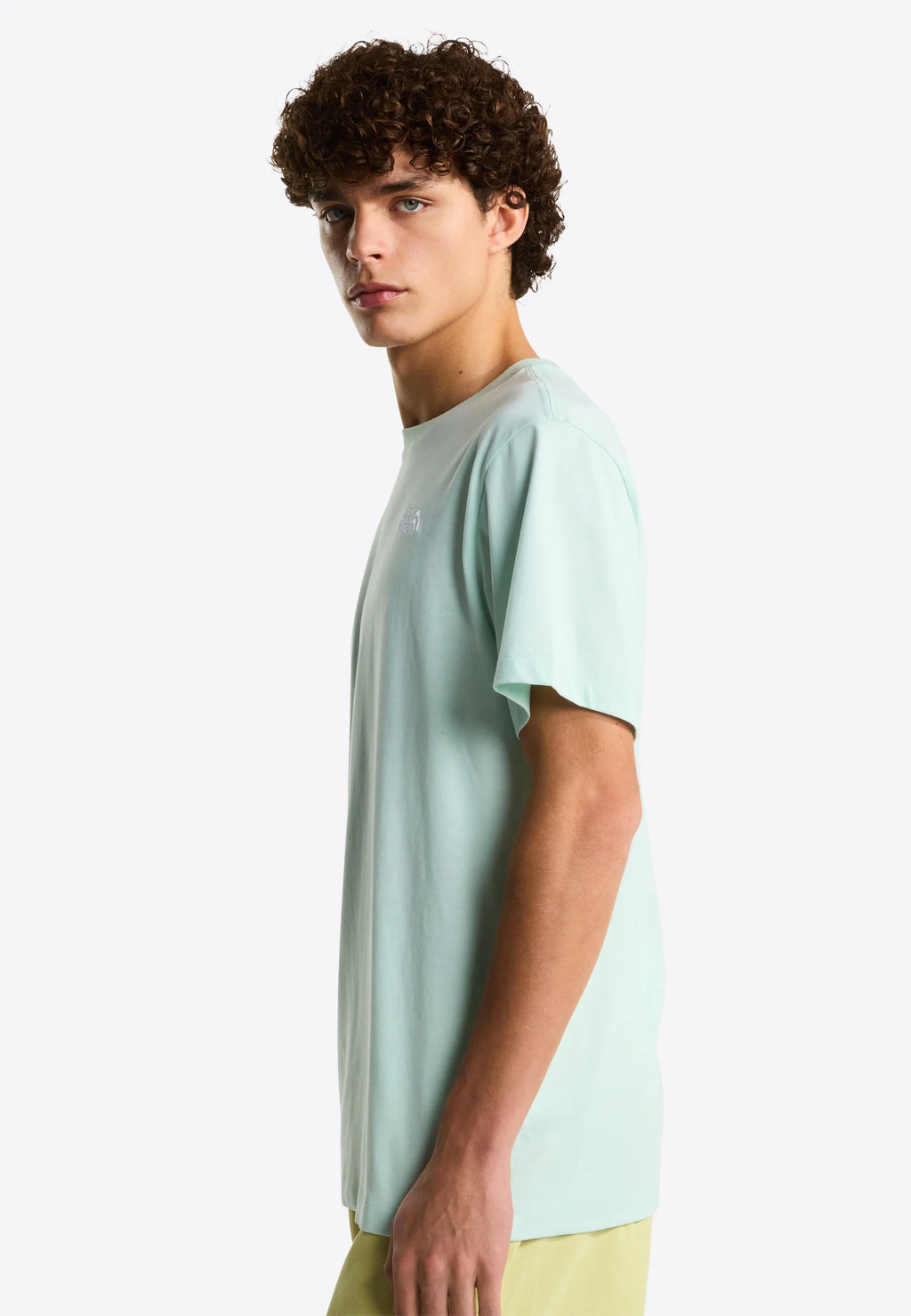 THE NORTH FACE T-shirt evolution simple dome