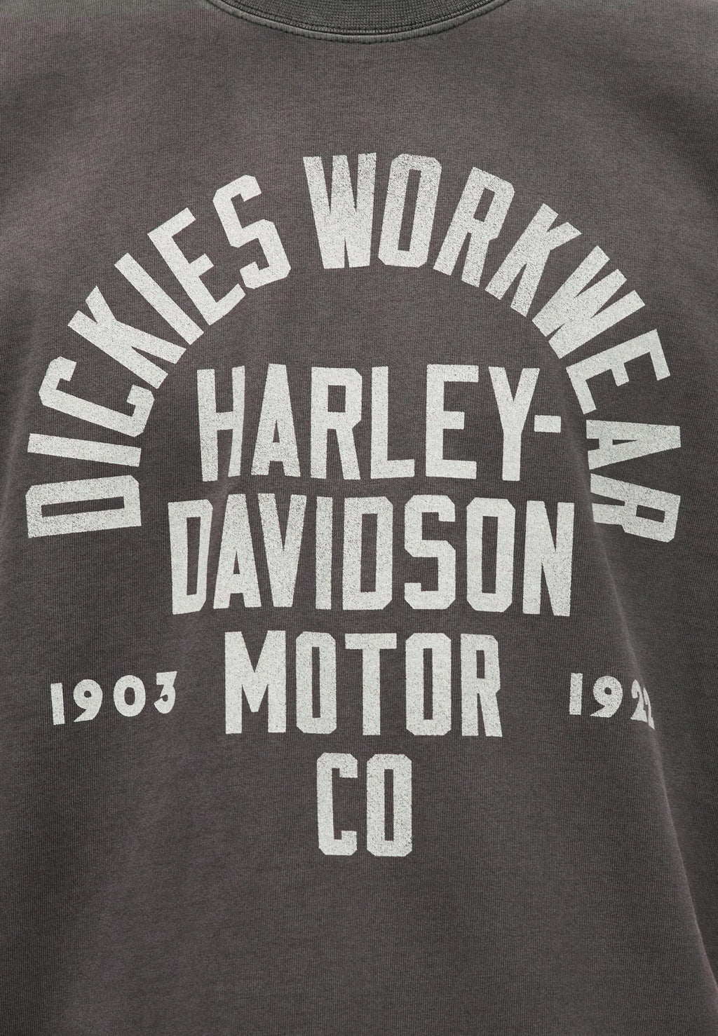 DICKIES x harley davidson t-shirt
