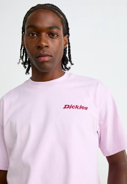 DICKIES T-shirt statesville - CARISMAstore