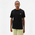 DICKIES T-shirt mapleton - CARISMAstore