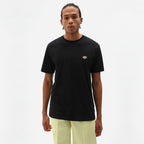 DICKIES T-shirt mapleton - CARISMAstore